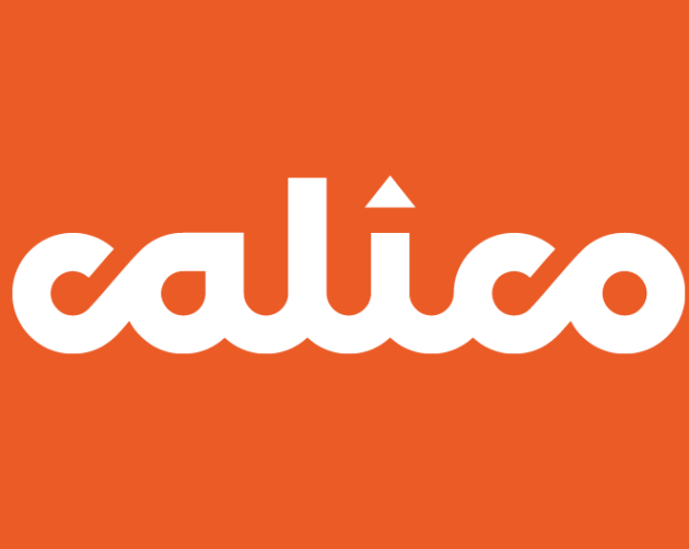 The image prominently displays the words "Calico Homes" in bold, white lowercase letters against an orange background. A small white triangle cleverly perches above the "i," enhancing the design of this eye-catching logo. ©Mobysoft