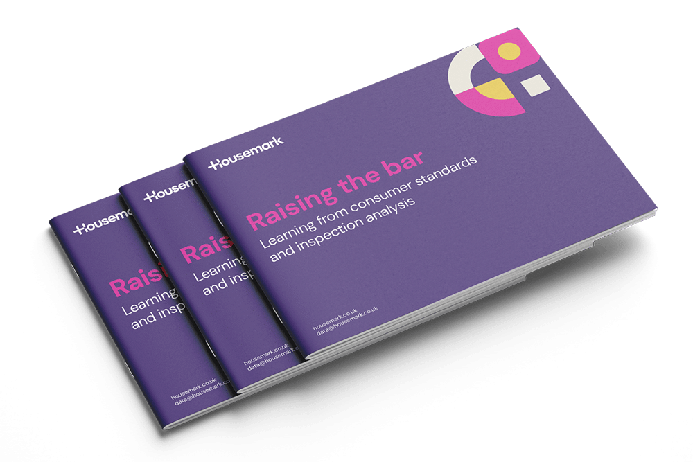 Three purple booklets are stacked. The top one is titled "Raising the bar: Learning from consumer standards and inspection analysis" with a geometric design in the top right corner.