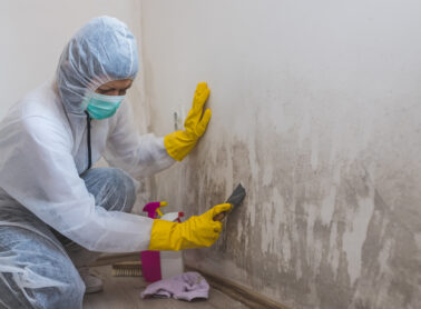 Person in protective suit and mask cleaning mold from a wall with a scraper. They are wearing yellow gloves, and cleaning supplies, including a bottle and cloth, are on the floor nearby. The room has a wooden floor and white walls. ©Mobysoft